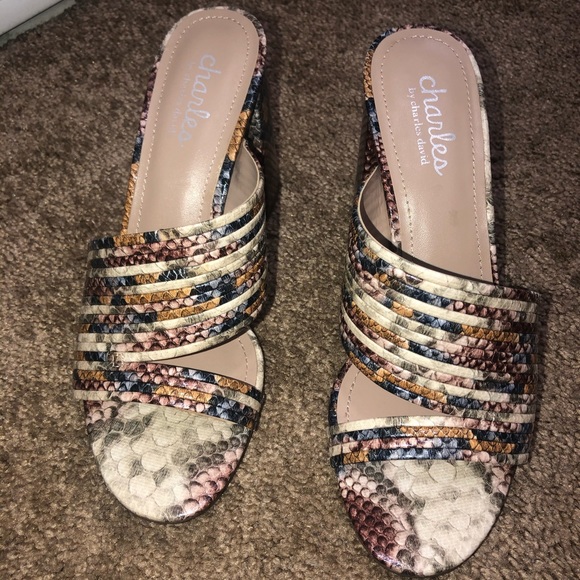 charles david slides